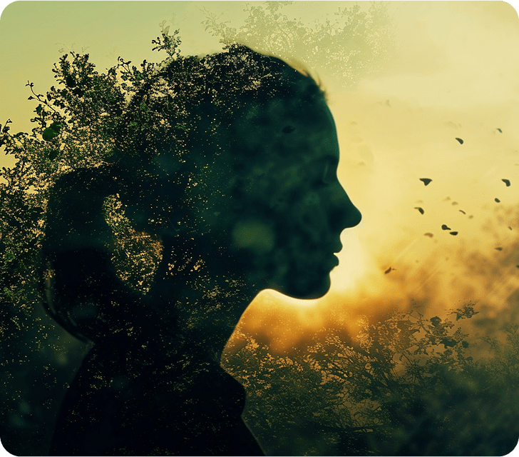 Barbara Fontane Counseling