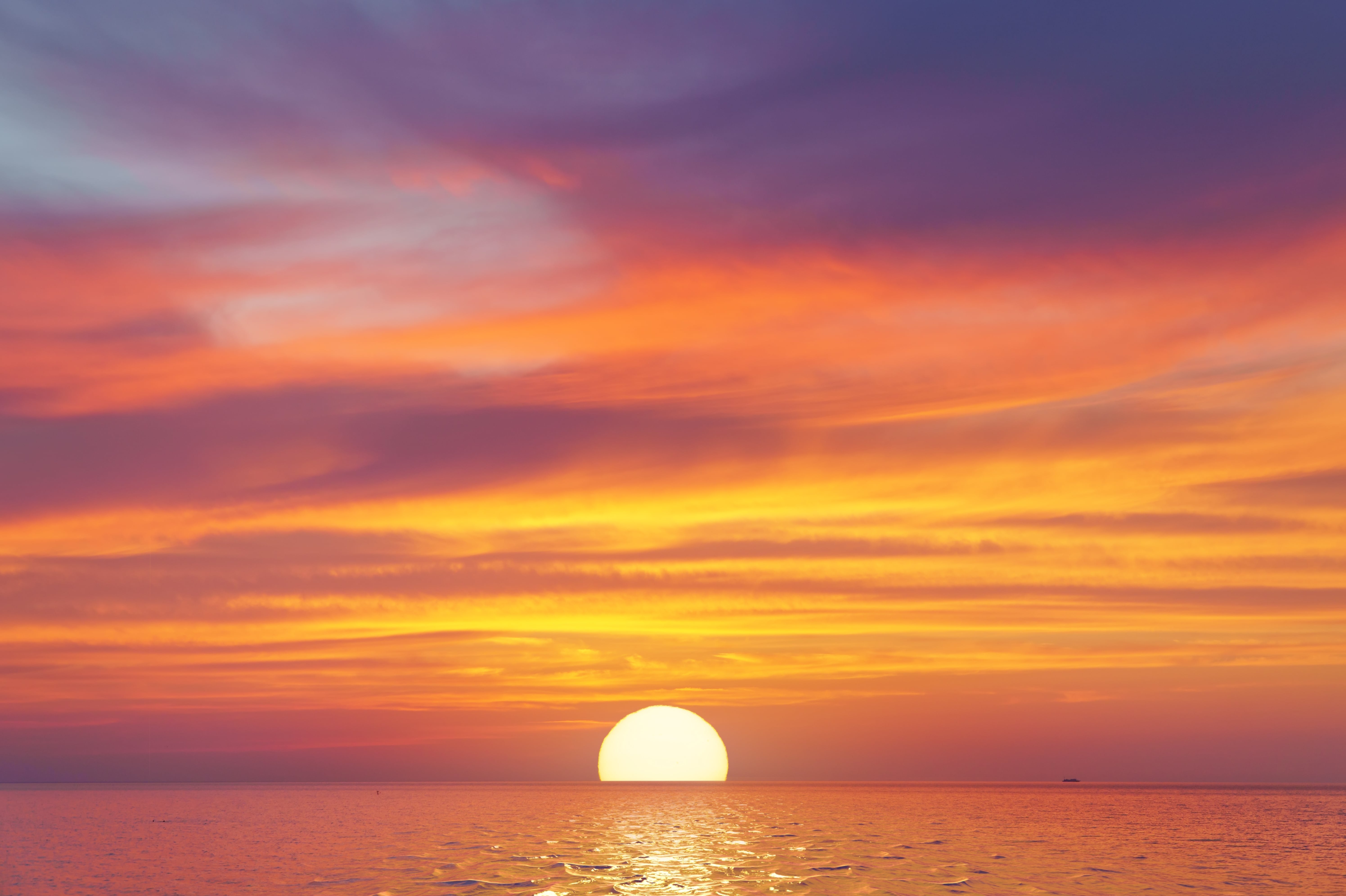 Barbara Fontane Counseling