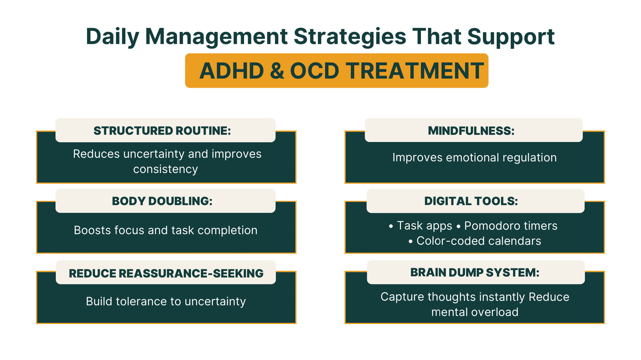 Daily Management Strategies That Support ADHD & OCD Treatment