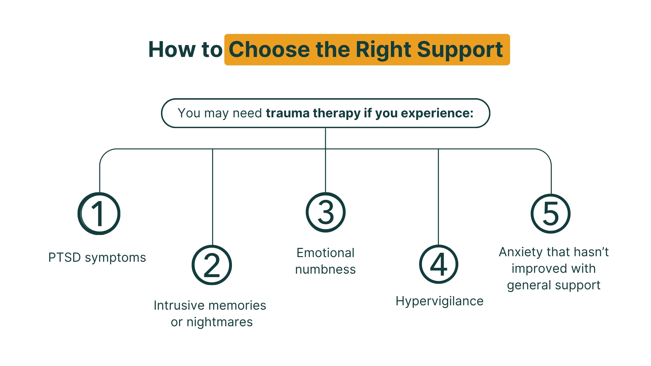 How to Choose the Right Support